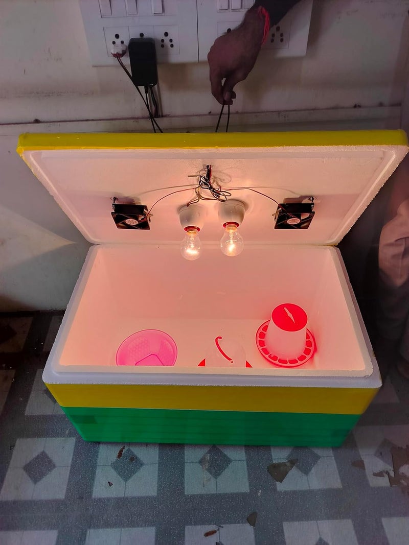 TMW -100 حاضنة بيض شبه أوتوماتيكية - Image 5