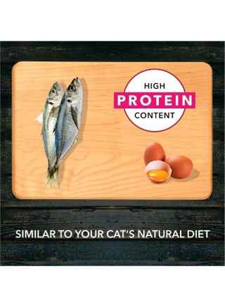 Dry Cat Food Ocean Fish (Buy 1 Get 1) - view 4