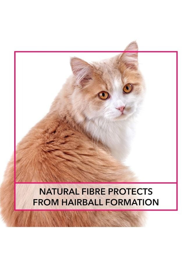 Meatup Dry Cat Food Ocean Fish (Buy 1 Get 1) 2 x 7 Kg - Image 5