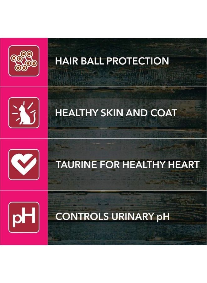 Meatup Dry Cat Food Ocean Fish (Buy 1 Get 1) 2 x 7 Kg - Image 3