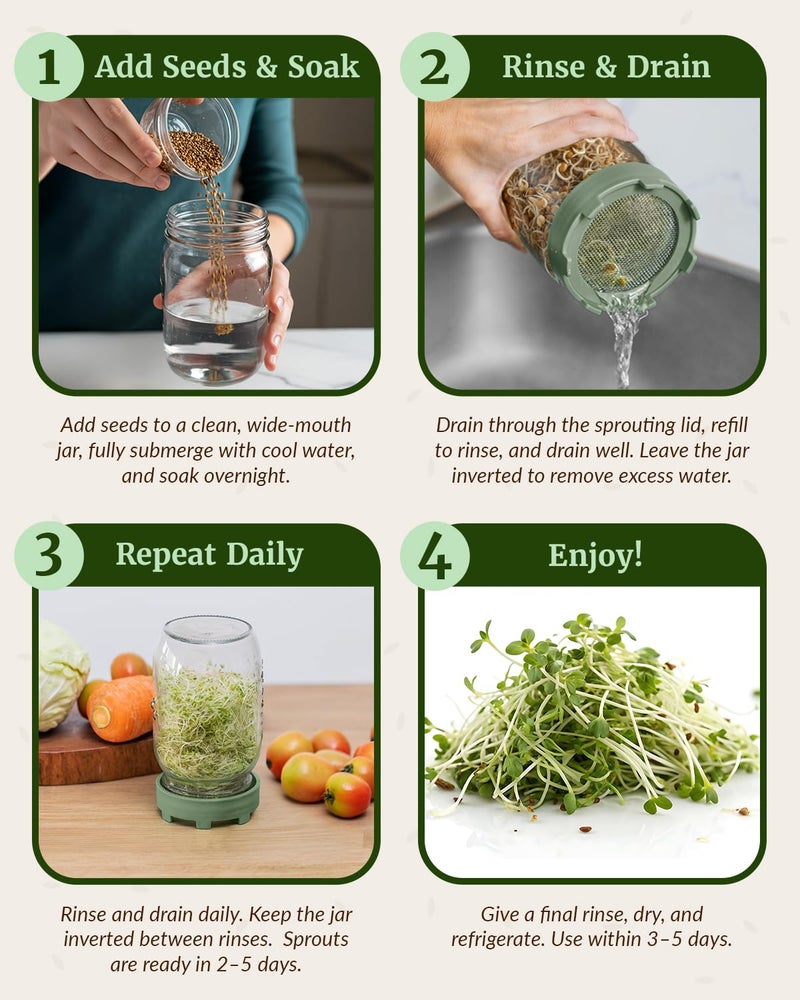 Elementi Sprouting Lids for Wide Mouth Mason Jars (Set of 4), Sprouting Jar Kit for Organic Alfalfa & Mung Bean Sprouts Growing Kit, 316 Stainless Steel Mesh Screen Strainer Lid (Sage Green) - Image 4