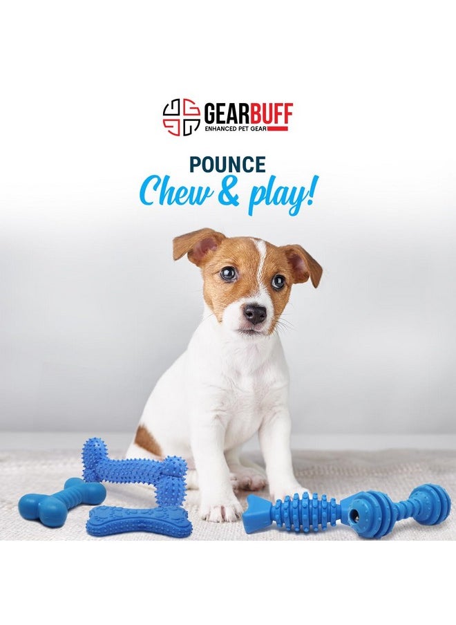 Chew Toys 5 In 1 | Tuffy Bone, Spiral Dumbbells, Spiky Curved Flat Bone, Paw Printed Flat Bone, Twirled Bone| Chew Toys For Dogs | Blue