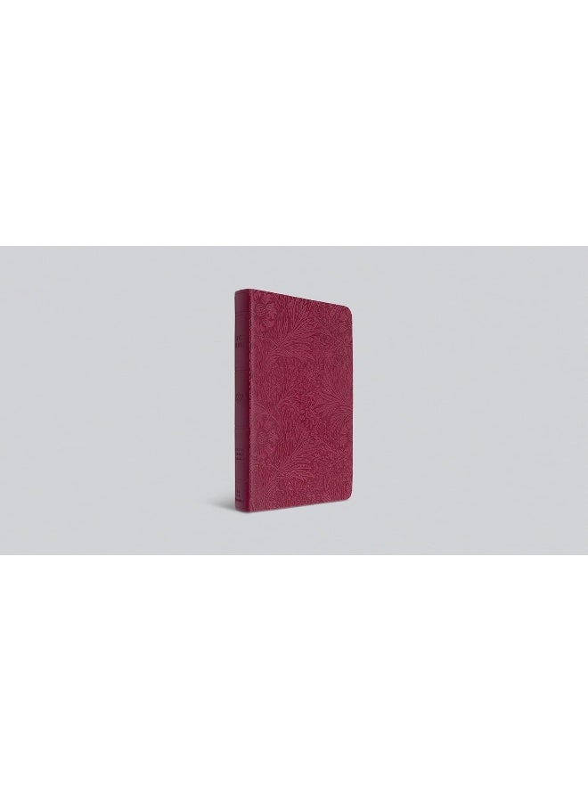 الكتاب المقدس ESV بحجم خط كبير، نسخة رفيعة القيمة - Image 3