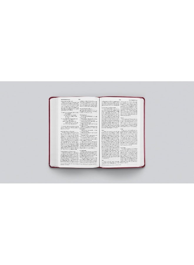 الكتاب المقدس ESV بحجم خط كبير، نسخة رفيعة القيمة - Image 1