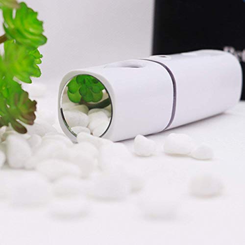 ZOMFOM Nano Facial Steamer Mist Spray Eyelash Extensions Cleaning Pores Water SPA Moisturizing Hydrating Face Sprayer USB Rechargeable Mini Beauty Device - Summer Gives You Cool (White) - Image 2