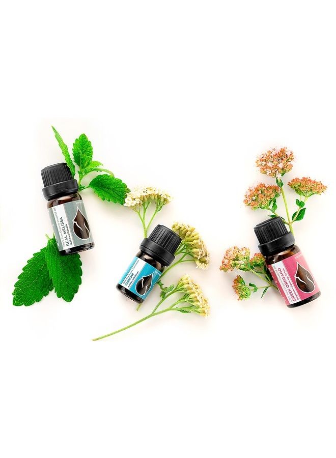 Essences Bulgaria Organic Oregano Essential Oil 1/3 Fl Oz | 10ml | Origanum vulgare | 100% Pure and Natural | Undiluted | Therapeutic Grade | Family Owned Farm | Steam-Distilled | Non-GMO | Vegan  - Image 4
