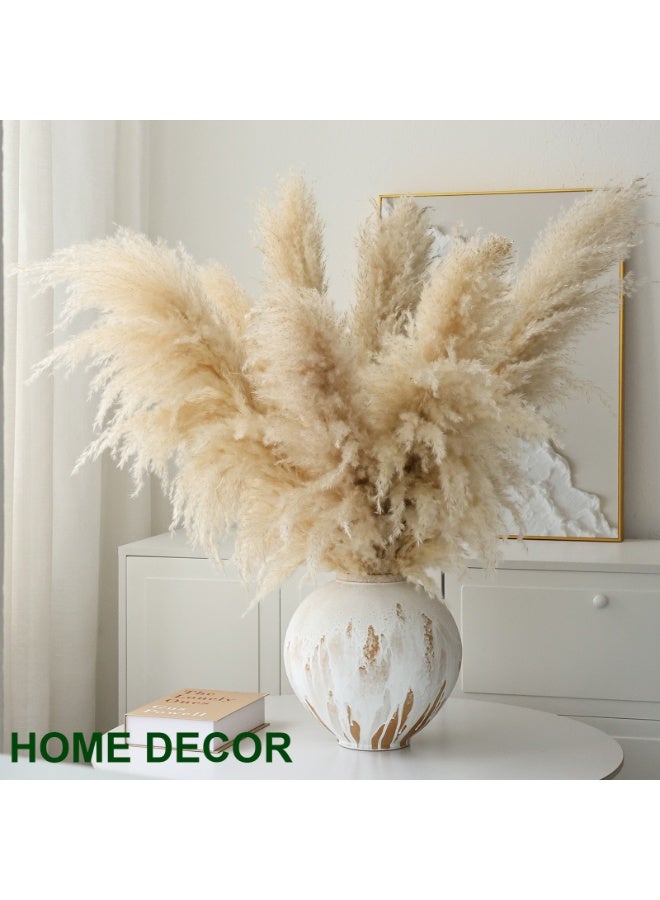 ميراج بوتانيكس بامباس العشب الطبيعي ديكور طويل 120 سم 10 جذوع القصب العشب بامباس العشب طويل بامباس العشب للمكتب المنزلي Weddingm مزرعة بوهو ديكور - Image 4