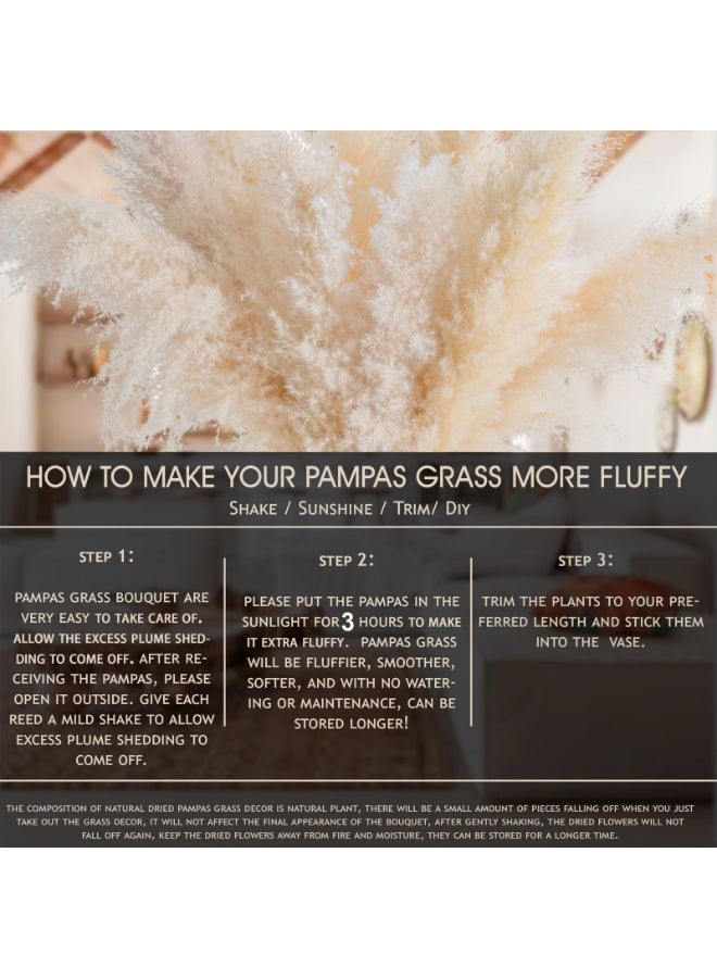 ميراج بوتانيكس بامباس العشب الطبيعي ديكور طويل 120 سم 10 جذوع القصب العشب بامباس العشب طويل بامباس العشب للمكتب المنزلي Weddingm مزرعة بوهو ديكور - Image 3
