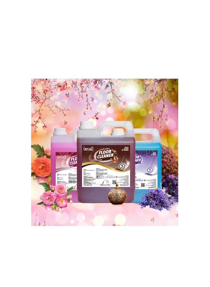 Crystal Clean Oudh Floor Cleaner 5 litres - Image 3