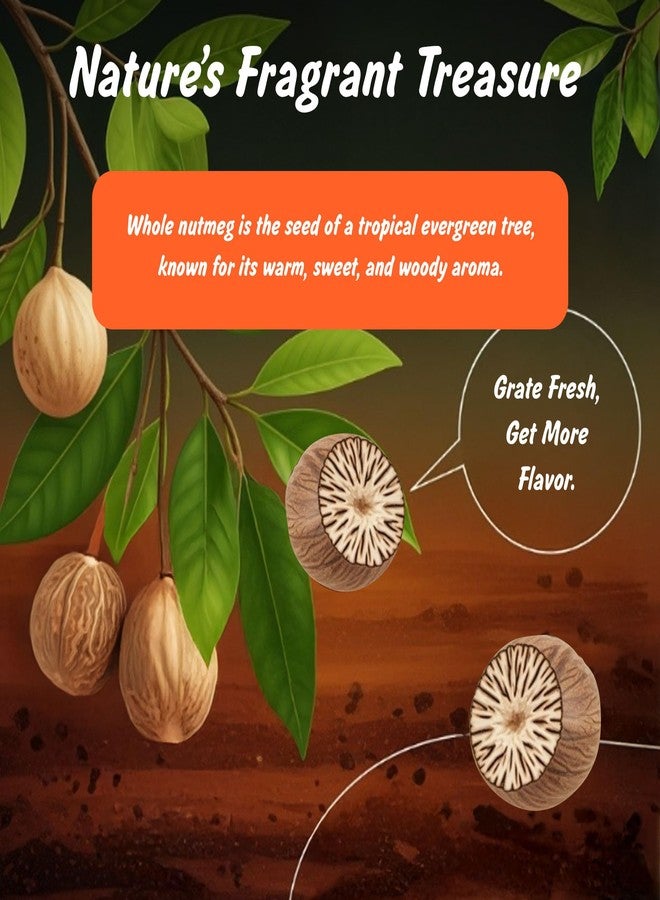 Spice Profile USDA Organic Whole Nutmeg, Lab Tested for Heavy Metals, Resealable 3.5 oz Pouch, Jaiphal, Nuez Moscada - Image 2