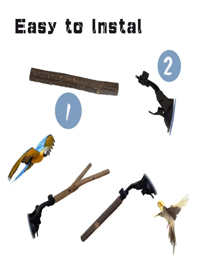 TTFdacai 2 PCS Natural Wood Bird Perch with Suction Cup Parrot Shower and Window Perch Stand Bird Portable Suction Cup Shower Perch for Parrot Parakeet Cockatiel Conure Budgie Lovebirds - Image 4