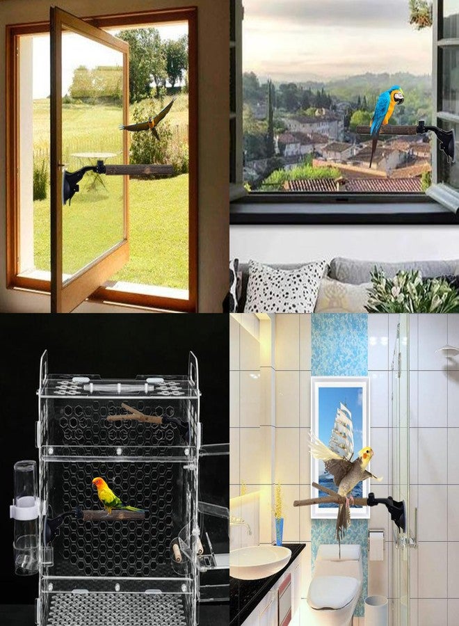 TTFdacai 2 PCS Natural Wood Bird Perch with Suction Cup Parrot Shower and Window Perch Stand Bird Portable Suction Cup Shower Perch for Parrot Parakeet Cockatiel Conure Budgie Lovebirds - Image 3