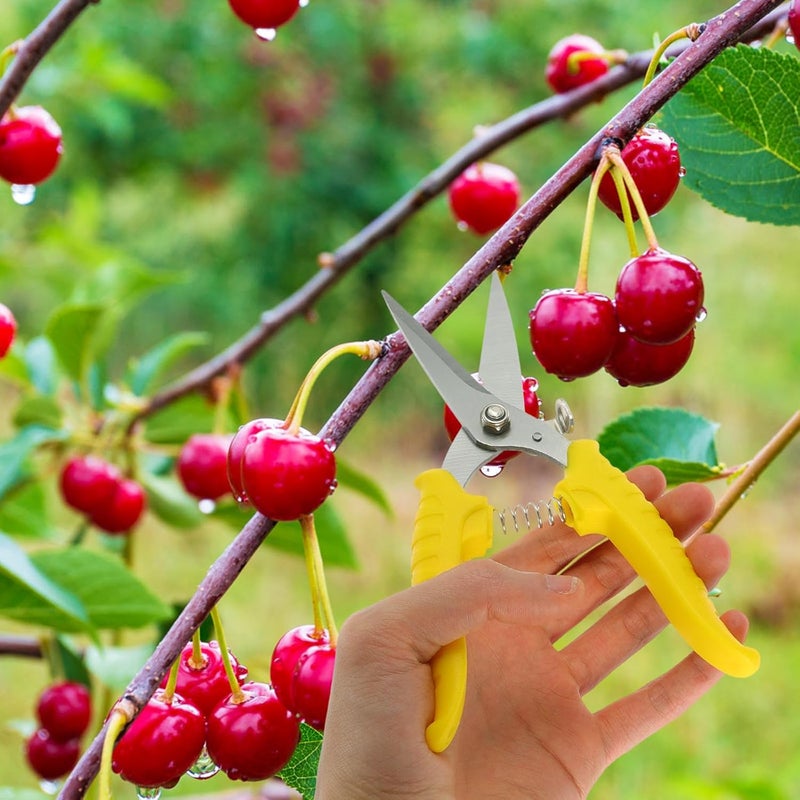 Serrated Pruning Shear Garden Scissors 8-inch Labor-saving Hand Pruners for Yard Trimming and Branch Cutting with Small Groove Blade, Gardening Tool Accessory Random Color - Image 4