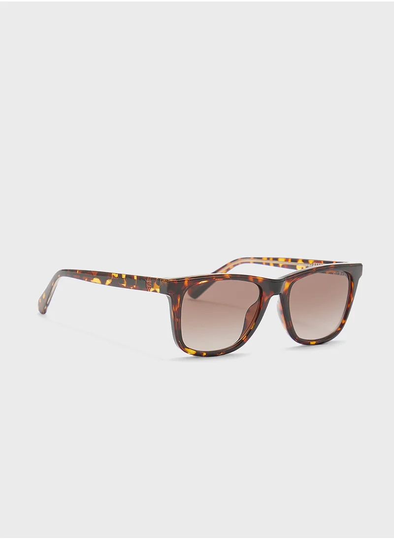 جس Gu0022752F47 Wayfarers Sunglasses