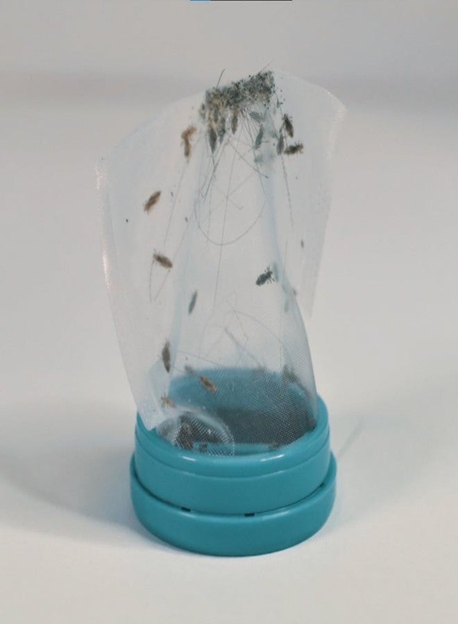 V-Comb Supra - Head Lice and Egg Remover - Pesticide and Chemical Free - 100% Natural Treatment - Image 4