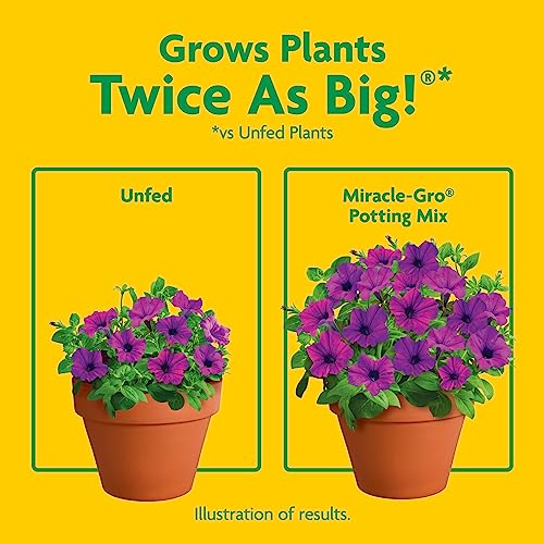Miracle-Gro Potting Mix, For Indoor or Outdoor Potted Plants, Flowers, Vegetables, Shrubs, Annuals, and Perennials, Feeds Up to 6 Months, 8 qt. - Image 5