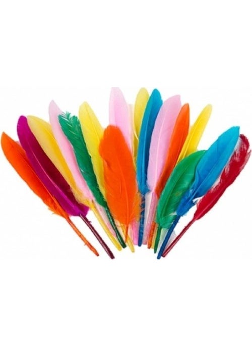 Colored Feather (10 Pieces) - pzsku/Z112A99371EFBCF9A0D4AZ/45/_/1725791240/c6e4ae2d-a9bf-4a26-95db-945f4dc0dcd0