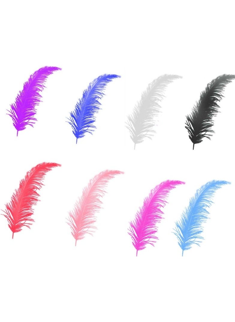 Colored Feather (10 Pieces) - pzsku/Z112A99371EFBCF9A0D4AZ/45/_/1725791251/40fd1d9b-4c27-45db-8579-3ddb714dcb3d