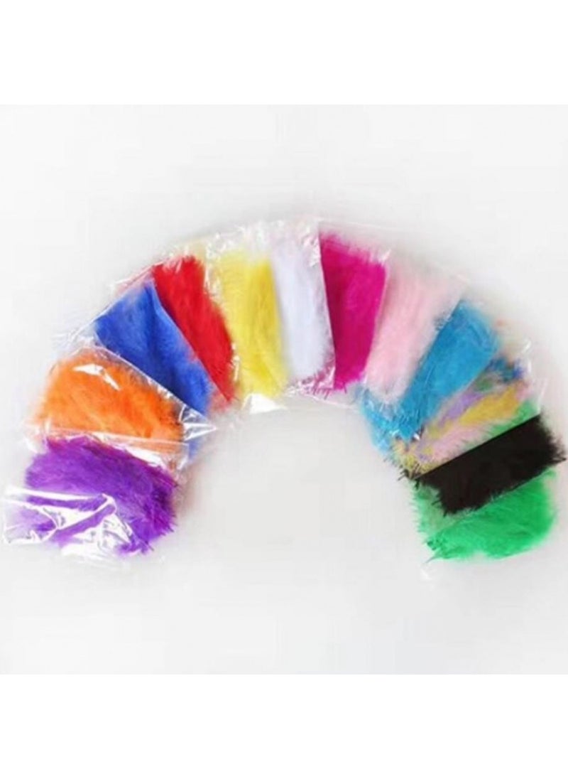 Colored Feather (10 Pieces) - pzsku/Z112A99371EFBCF9A0D4AZ/45/_/1725791255/8333c262-a2f7-4fc4-b4fc-3006db5caf8f