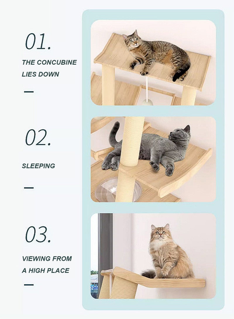 Kidle Cat Tree Cat House Cat Climbing Frame Small House Solid Wood Against the Wall Cat Scratching Board Cat Jumping Platform Climbing Post Wall Type - Image 4
