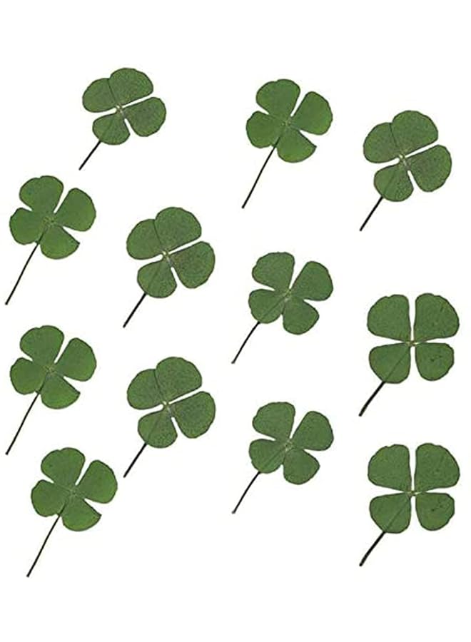 كوزي 12 قطعة من الزهور المجففة والنباتات المجففة الطبيعية وأوراق البرسيم المضغوطة وأوراق البرسيم المجففة ذات الأربع أوراق لصنع المجوهرات المصنوعة يدويًا من الراتنج وحرف فنية وزخارف الشموع المتنوعة وقلادات - Image 1