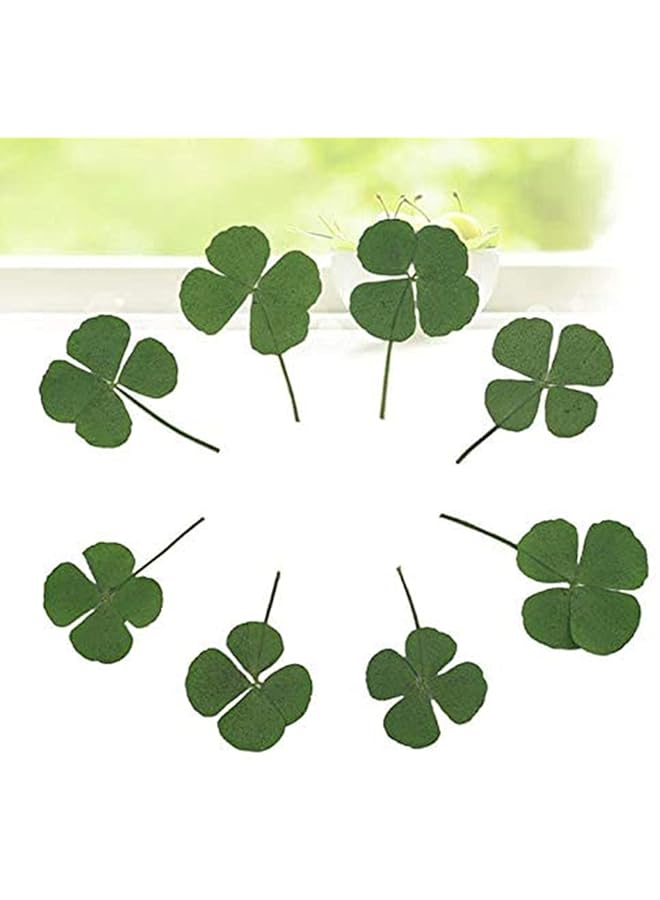 كوزي 12 قطعة من الزهور المجففة والنباتات المجففة الطبيعية وأوراق البرسيم المضغوطة وأوراق البرسيم المجففة ذات الأربع أوراق لصنع المجوهرات المصنوعة يدويًا من الراتنج وحرف فنية وزخارف الشموع المتنوعة وقلادات - Image 2