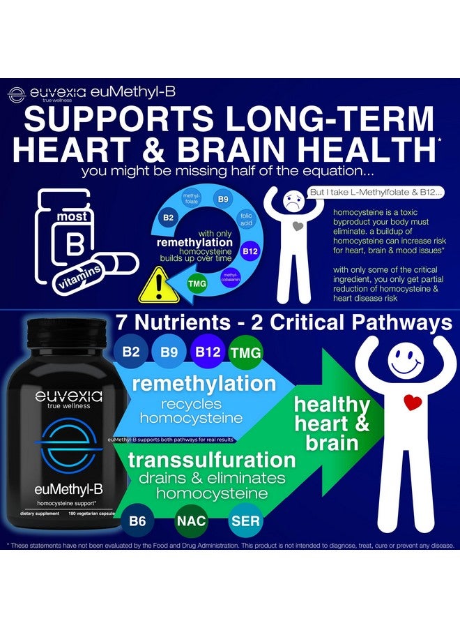 Euvexia L ميثيل فولات نشط 5-MTHF بالإضافة إلى ميثيل B12 - مركب B ميثيل مع B2 B6 B9 B12 NAC L-سيرين TMG بيتايدين HCL L ميثيل فولات - يدعم الهوموسيستين والقلب والمزاج والدماغ - د. إيكبرغ - بدون حمض الفوليك - Image 2