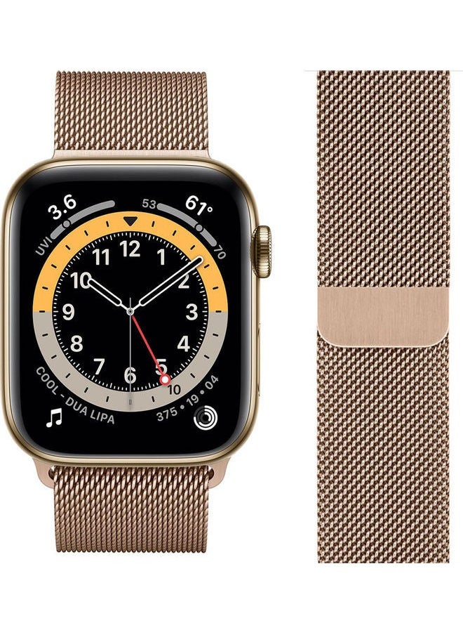 NIBEMINENT - Milanese Replacement Band for Apple Watch Gold - Image 1