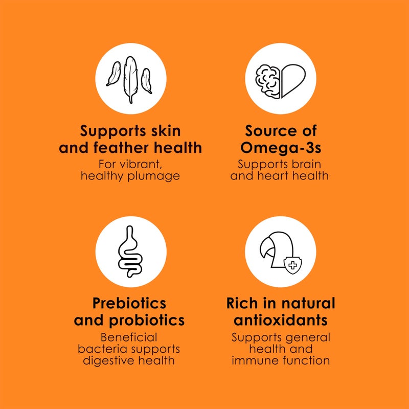 Kaytee Fiesta Parrot Food, Nutritious and Fun Blend, Supports Skin, Feather, Digestion, Brain and Heart Health, 4.5 pounds - Image 5