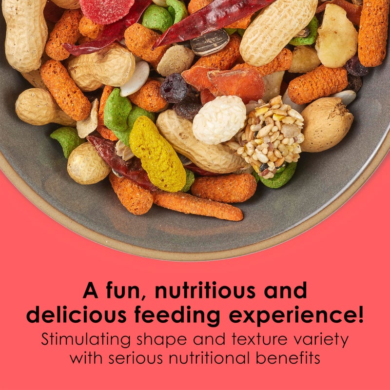 Kaytee Fiesta Parrot Food, Nutritious and Fun Blend, Supports Skin, Feather, Digestion, Brain and Heart Health, 4.5 pounds - Image 2