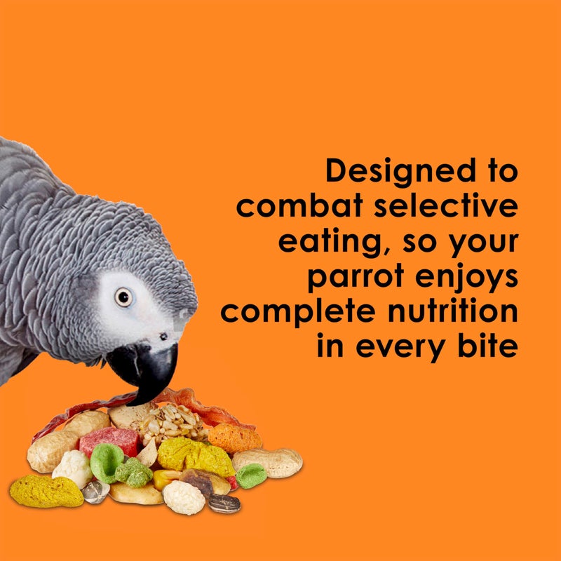 Kaytee Fiesta Parrot Food, Nutritious and Fun Blend, Supports Skin, Feather, Digestion, Brain and Heart Health, 4.5 pounds - Image 4