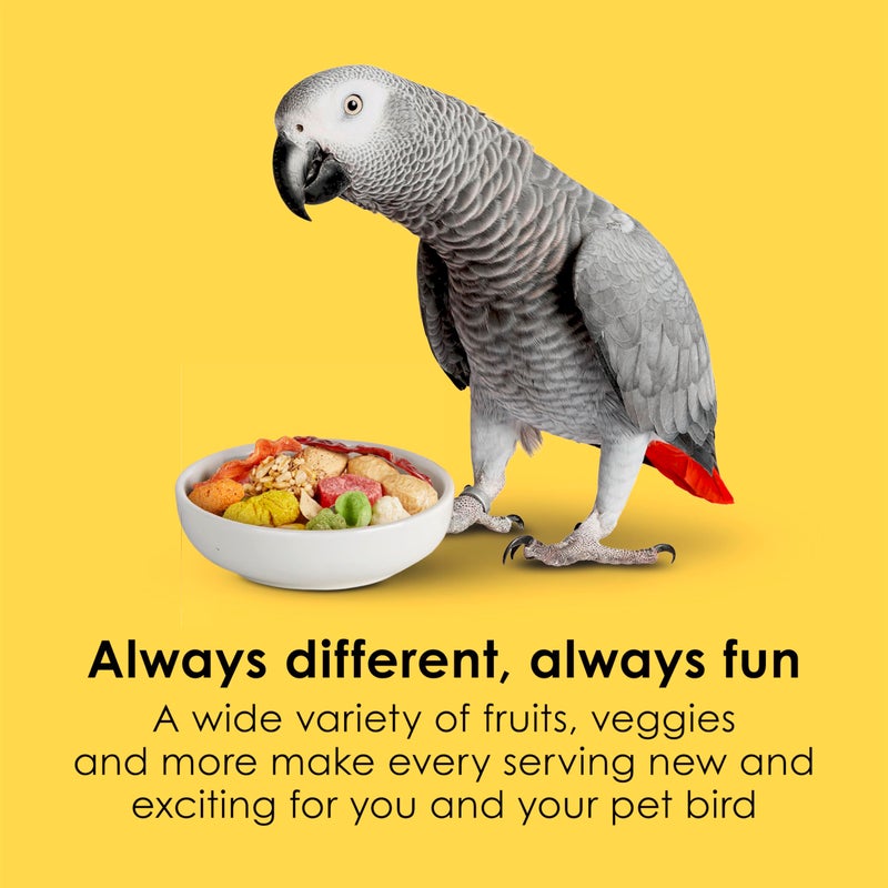 Kaytee Fiesta Parrot Food, Nutritious and Fun Blend, Supports Skin, Feather, Digestion, Brain and Heart Health, 4.5 pounds - Image 3