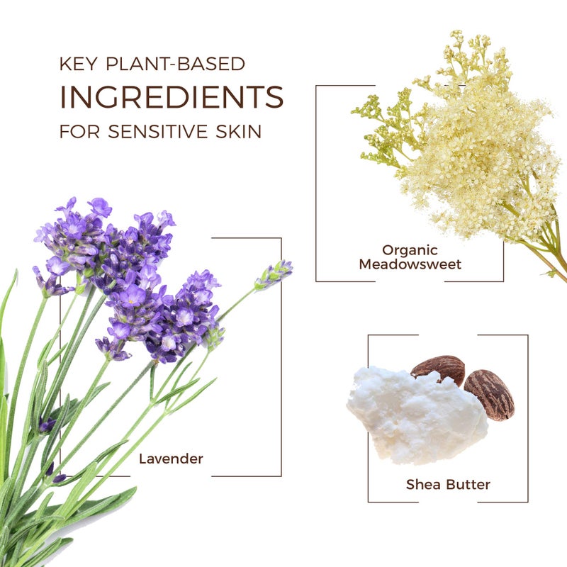 Babo Botanicals لوشن الجسم المهدئ من بوبو بوتانيكالز - بخلاصة البابونج واللافندر - نباتي - لجميع الأعمار - معطر برائحة اللافندر - Image 3