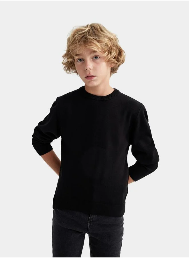 ديفاكتو Regular Fit Crew Neck Knit Sweater