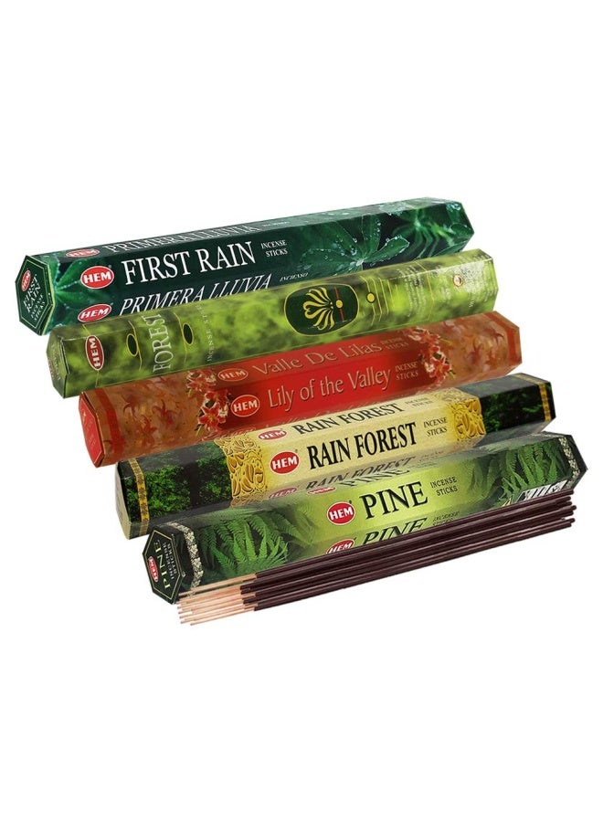 TRUMIRI Hem Incense Sticks Variety Pack 12 and Incense Stick Holder Bundle with 5 Forest Themed Fragrances - Image 5