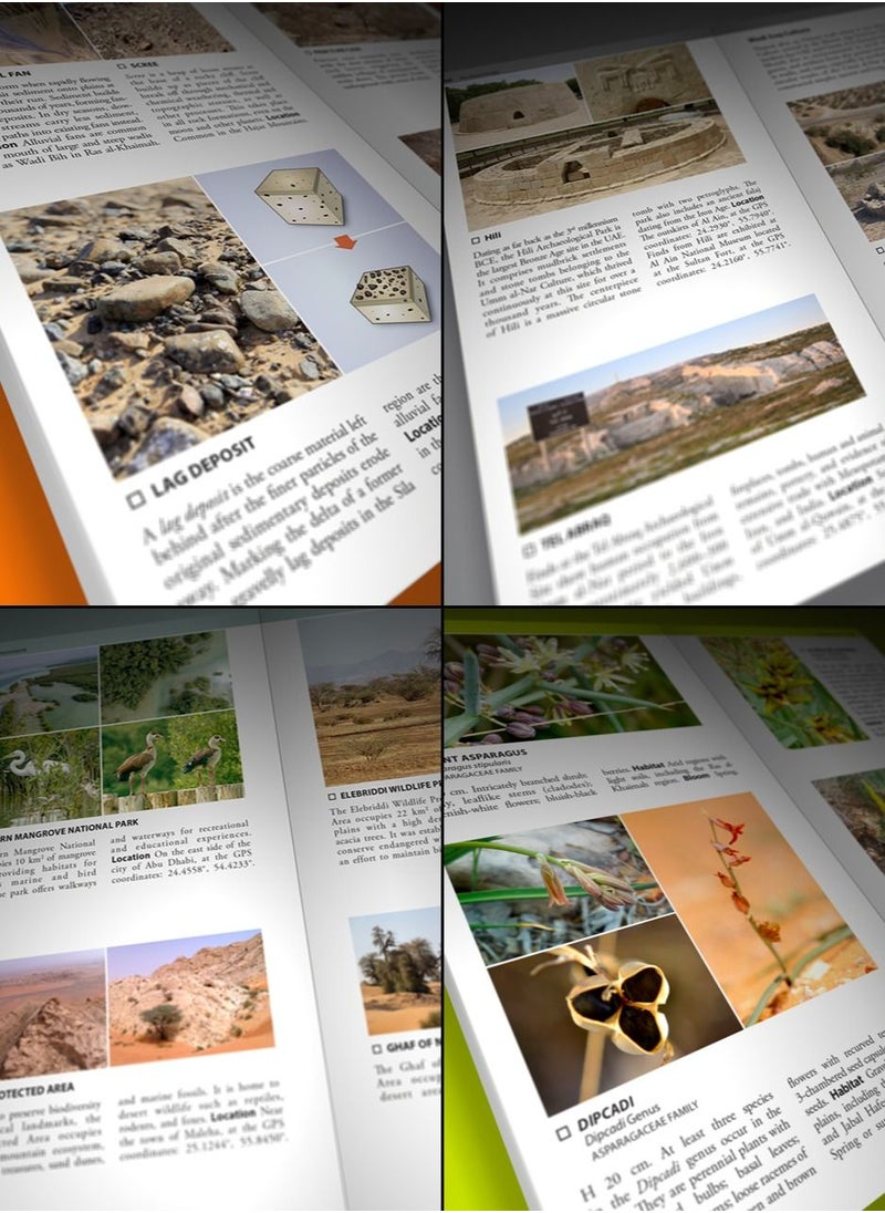 Field Guide to Emirates - Field guide to Emirates the UAE’s first comprehensive resource on geology archaeology environment native flora and fauna including invertebrates fish amphibians reptiles and birds - Image 1