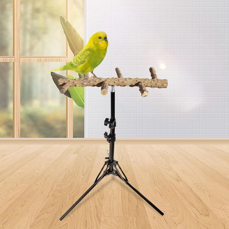 Oooct 16-63 Inch Height Adjustable Bird Perch Stand, Natural Pepper Wood Parrot Perch Toy, Bird Training Perch Stand, Indoor and Outdoor Bird Stands for Small to Medium Bird - Image 2