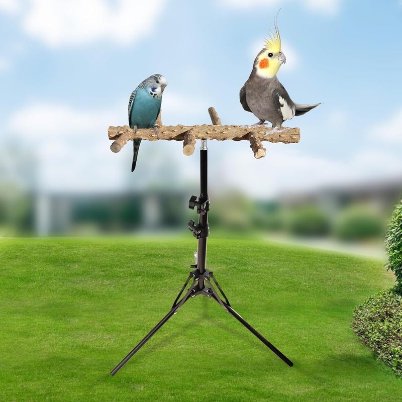 Oooct 16-63 Inch Height Adjustable Bird Perch Stand, Natural Pepper Wood Parrot Perch Toy, Bird Training Perch Stand, Indoor and Outdoor Bird Stands for Small to Medium Bird - Image 4