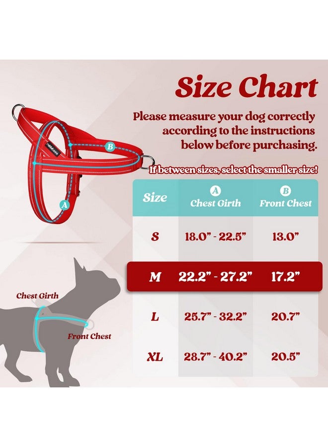 رابيتجو تسخير الكلاب من رابتيجو بدون شد، سريع التركيب للكلاب متوسطة الحجم مع مقبض مبطن ناعم، سترة عاكسة قابلة للتعديل على الصدر للحيوانات الأليفة، مقاومة للاختناق والهروب للتدريب على المشي، لون أحمر متوسط - Image 2