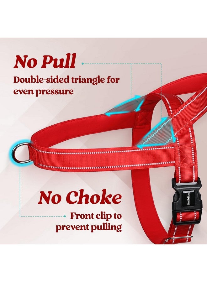 رابيتجو تسخير الكلاب من رابتيجو بدون شد، سريع التركيب للكلاب متوسطة الحجم مع مقبض مبطن ناعم، سترة عاكسة قابلة للتعديل على الصدر للحيوانات الأليفة، مقاومة للاختناق والهروب للتدريب على المشي، لون أحمر متوسط - Image 3