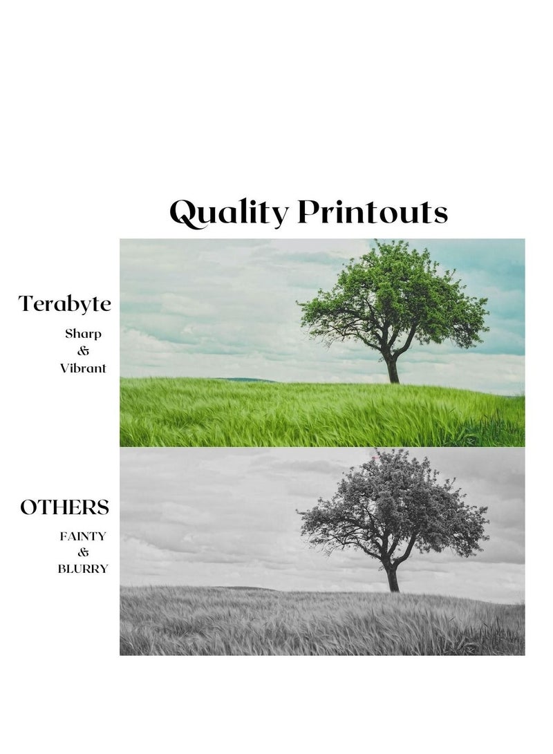 Terabyte CLT404S SAMSUNG BLACK COMPATIBLE TONER TERABYTE - Image 2