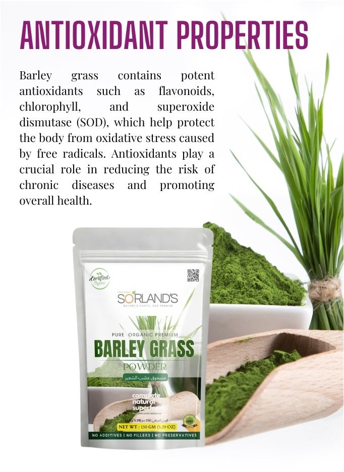 Sorland's Sorland's Organic Barley Grass Powder- 150g | Superfood Rich in Antioxidants, Vitamins & Minerals | Detoxify, Energize & Boost Immunity, Digestive Health | Non-GMO, Gluten Free  - Image 3