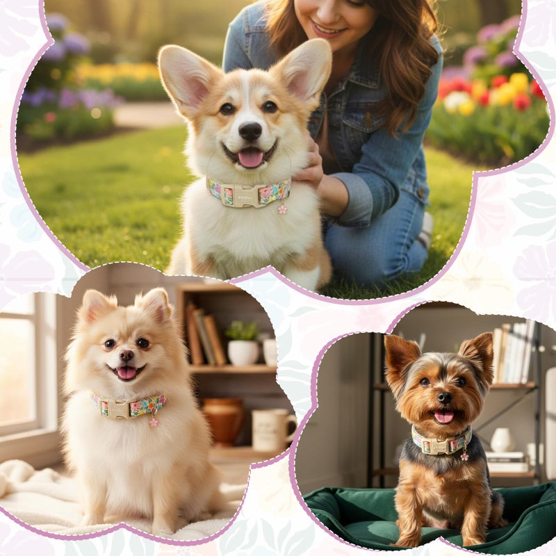 Astdogio Cotton Dog Collar with Colorful Flowers for Spring Summer, Adjustable Puppy Dog Collars for Small Medium Large Dogs, Cute Girl Boy Dog Collar Ideal for Gifts,Pet Accessory,S - Image 5
