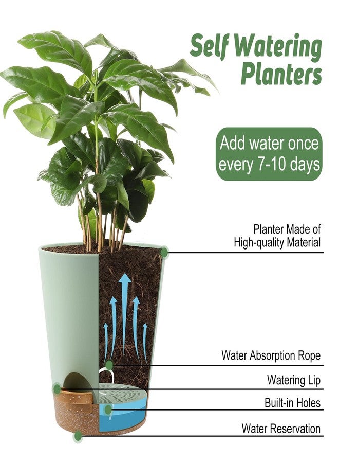YNNICO Plant Pots Indoor 8/7/6.5/6/5.5/5 Inch Self Watering Planters with Drainage Holes and Saucers, Plastic Flower Pots, Nursery Planting Pot for Indoor Out Door Plants - Image 5