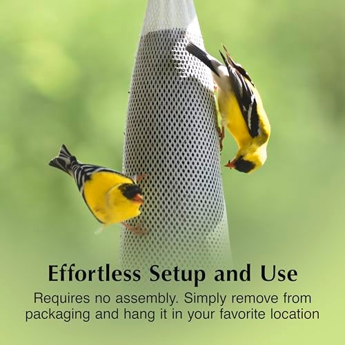 CS C&S Nyjer Sack, Thistle Seed Feeder for Wild Birds, 12 ounces - Image 5