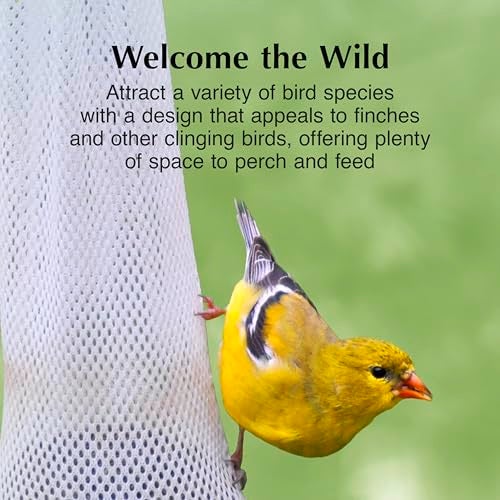 CS C&S Nyjer Sack, Thistle Seed Feeder for Wild Birds, 12 ounces - Image 4