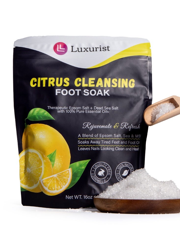 Luxurist - Luxurist Citrus Cleaning Foot Soak 1lb - Image 1