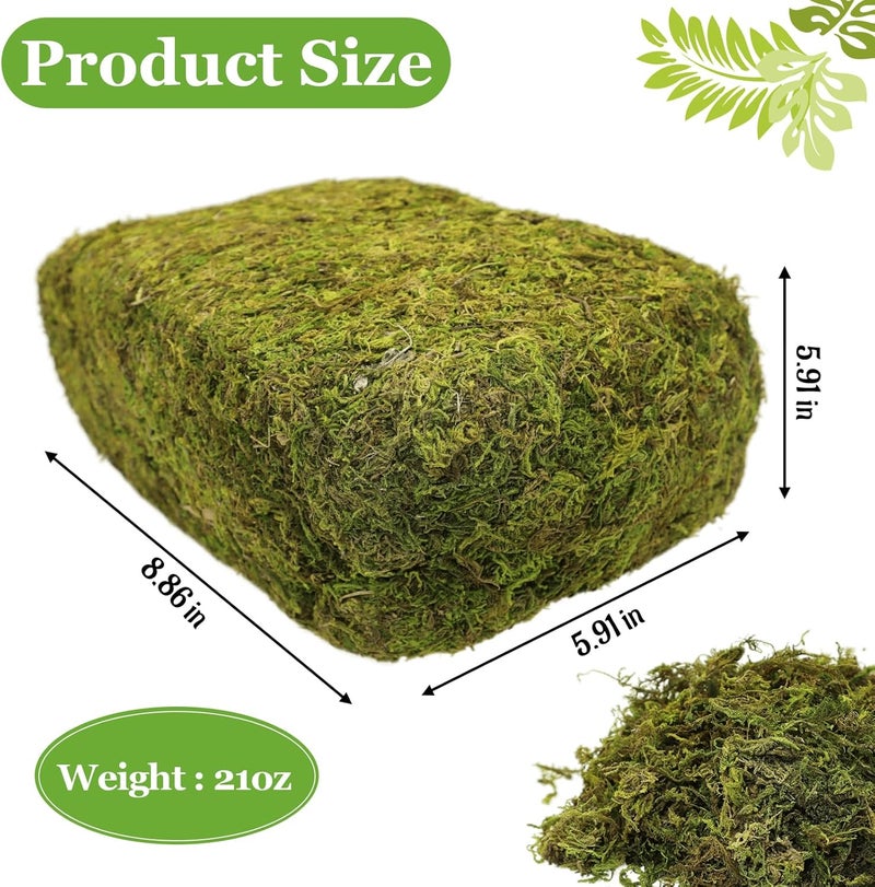 Riare 21OZ Artificial Fake Moss for Fake Plants Indoor- Premium Faux Moss for Potted Plants Indoor, Faux Green Moss for Micro-Landscape Terrariums Decor Fairy Garden Lawn Crafts - Image 2