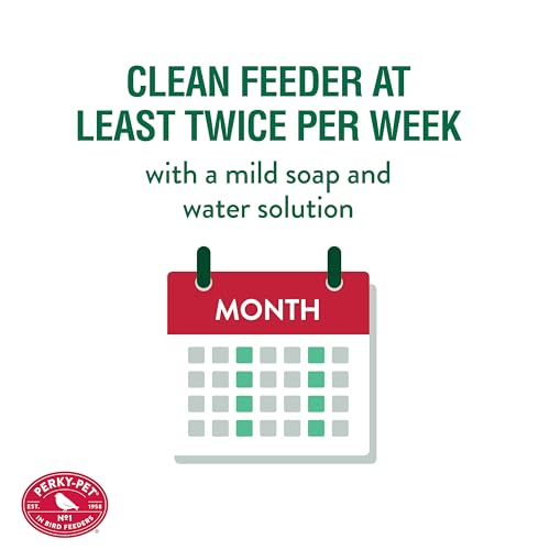 Perky-Pet Glass Hummingbird Feeders for Outdoors - Antique Bottle Style Bird Feeder - 10 Oz Humming Bird Feeders for Outdoor Garden Decor - Image 5