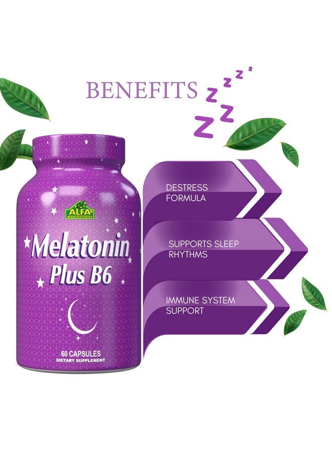 alfa vitamins ALFA VITAMINS Melatonin Plus B-6 Supplement with 5MG Sleep Cycle Regulator - Cardiovascular Health - Immune System - 60 Capsules  - Image 3